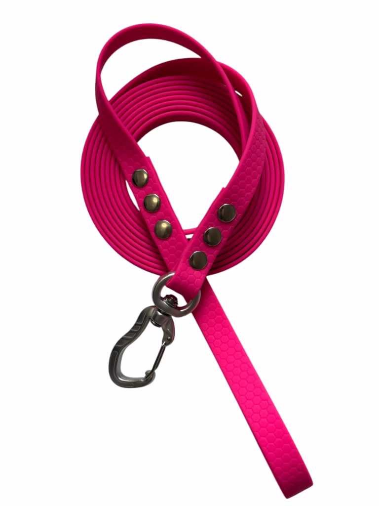 Leash